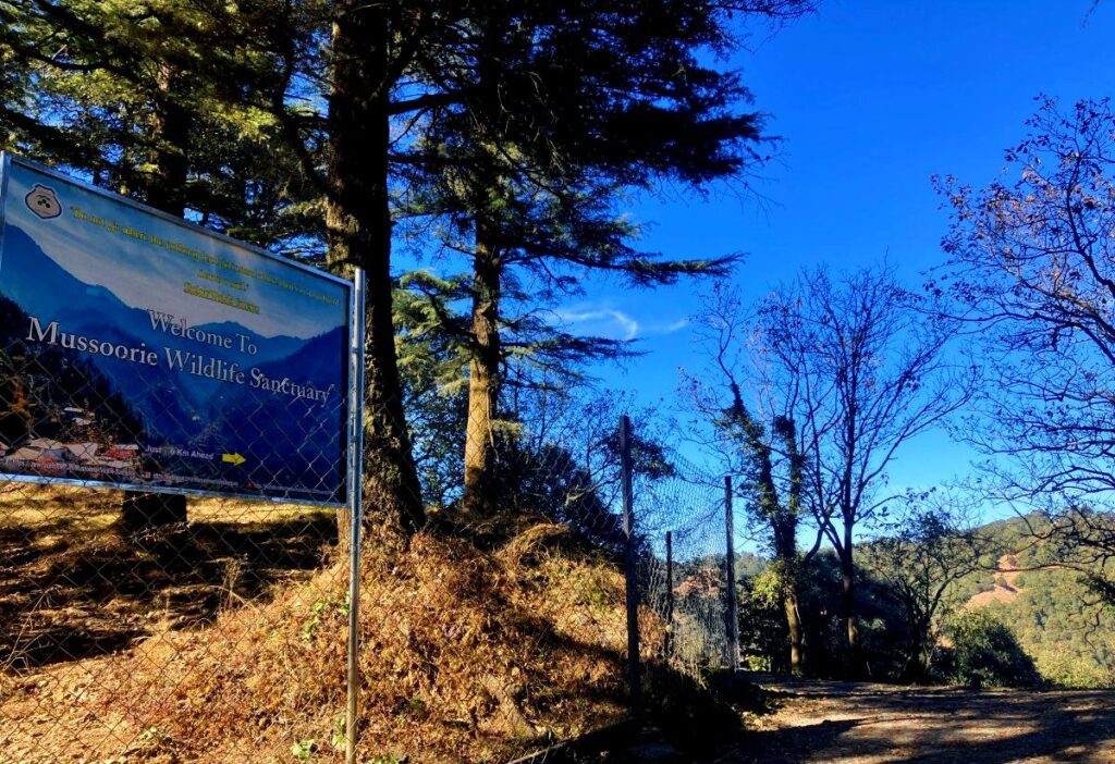 Cloud's end to Jwala Devi hike
