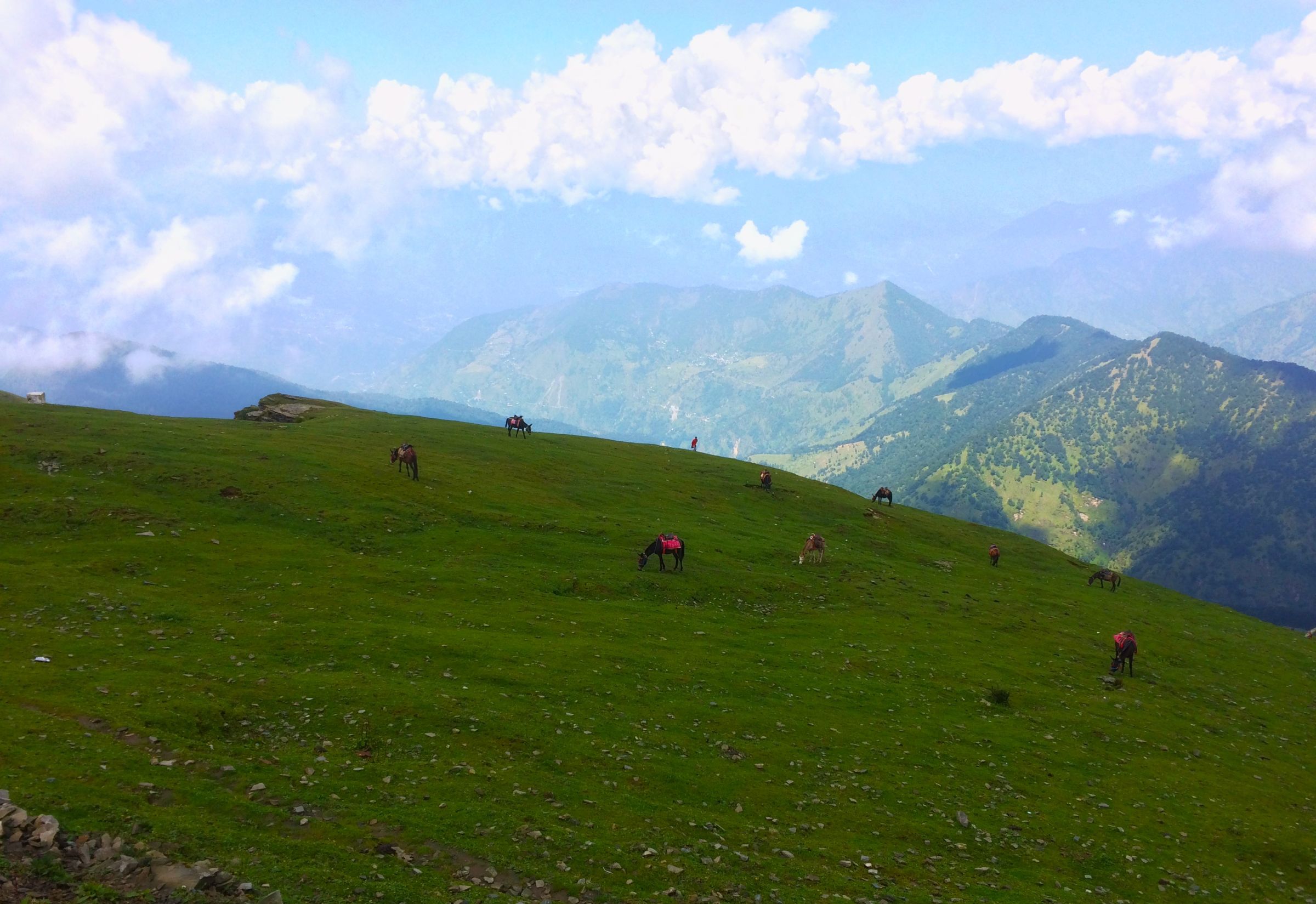 Chopta Tungnath Trek