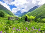 Valley of Flowers | Heart of Chamoli